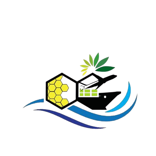 OVERSEACE HITECH Logo